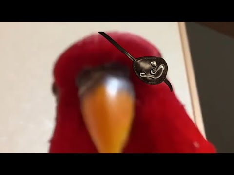 Red bird meme but it's Majima