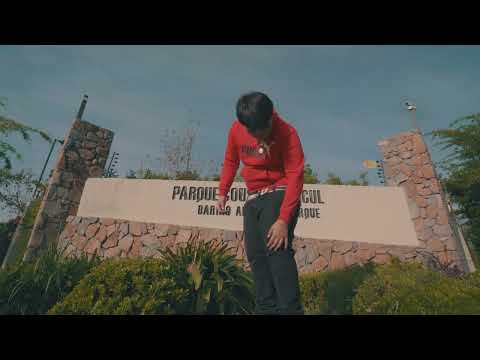 Brandyton Films and svncheez