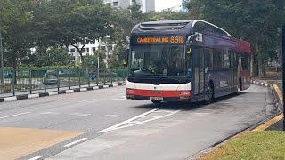 (Mediacorp • Trusted News For Our Community FBA) SMB278B(MDDEP 965) Service 861B At Yishun Avenue 6