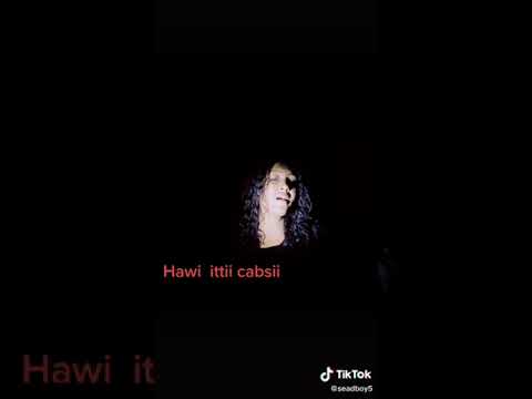 Abbaa farda daamaa Hachaaluunaaf waamaa 😭😭