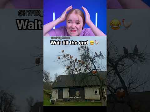 Try Not To Laugh: Minecraft Edition 😂 2061 #funny #viralvideo #shorts