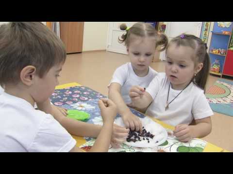 Виртуальная экскурсия по детскому саду №195