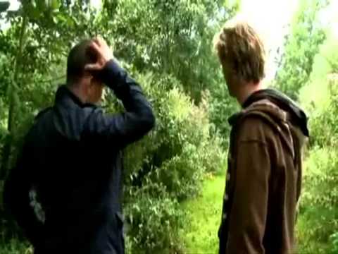 Mysteryland 2008 Floriade Haarlemmermeer