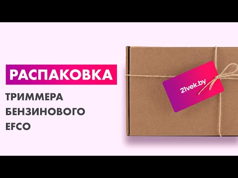 Миниатюра изображения товара Триммер бензиновый Efco DSH 250 T (61469021Е1)