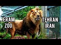 eram zoo tehran iran tehran walking tour باغ وحش ارم