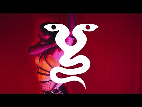 Venin Carmin - December Spleen (Official Video)