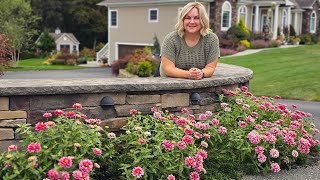 4 Must-Grow Flowers for Your Garden! Easy, Long-Lasting Blooms to Grow From Seed.