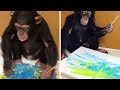 Talented Chimpanzee Paints Amazing Pieces