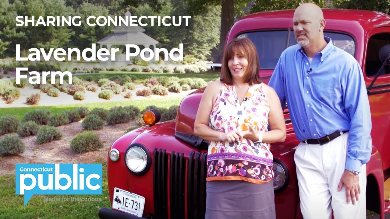 This Life Calls to Me: Lavender Pond Farm