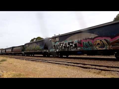 1513 Crystal brook, cm3306 cm3305