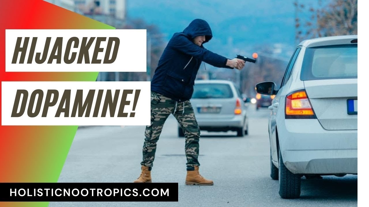 How Dopamine Gets Hijacked By Gut Bacteria