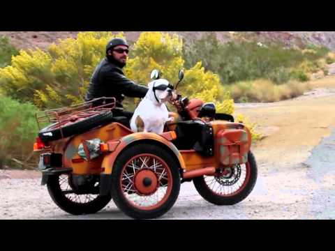 Laurent Wolf Making Of SUZY