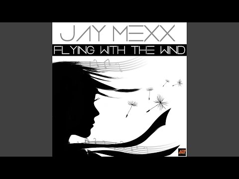 Flying with the Wind