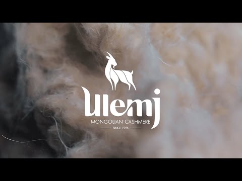 Ulemj cashmere