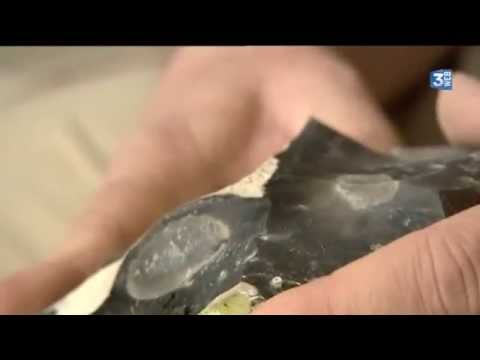 L'homme et la pierre (taille du silex)