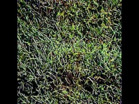 Living Music - Off On [To Allen Ginsberg] 1972