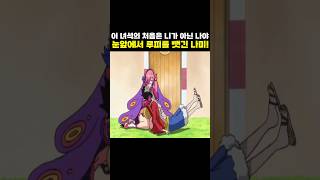 눈앞에서 루피를 뺏긴 나미!