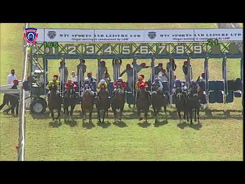 RM16 R5 | King Of Tara | B.Fayd'herbe