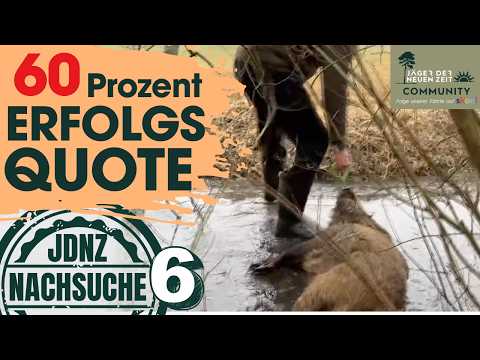 Follow-up searches are absolutely necessary. The search for the young boar ends with clear findings.