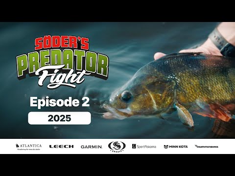 Predator Fight 2025 | Episode 2 (Multiple subtitles)