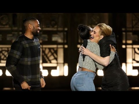 Adele helps a fan propose at her concert.
