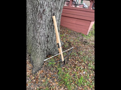 Medieval Crossbow and Bolt