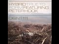 Hybrid Feat. Peter Hook ‎– True To Form (Original Mix)