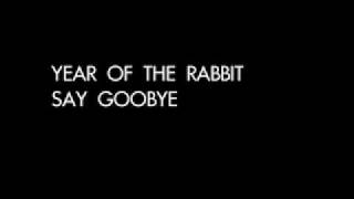 Year of the Rabbit - Say Goodbye