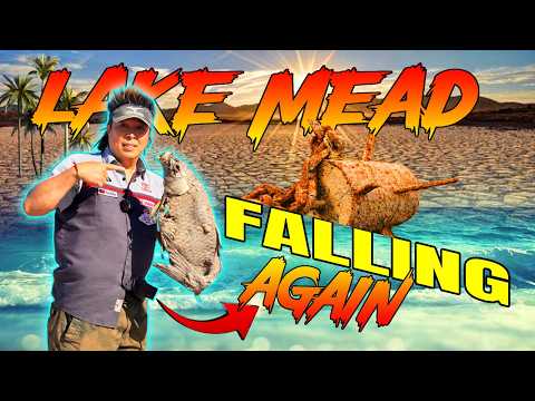 Huge water Loss at Lake Mead Happening Again - The worst in History expected this year - Must See