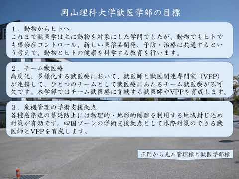獣医保健看護学科長メッセージ