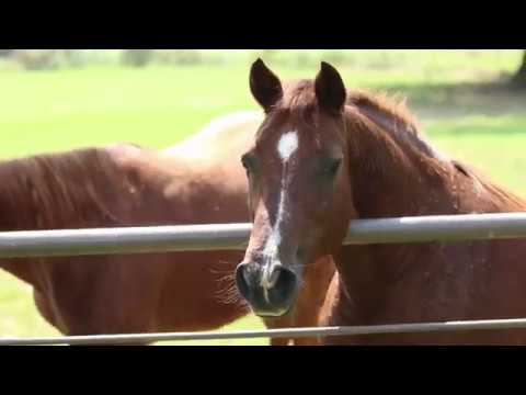 download lagu mp3 mp4 Fm 49, download mp3 Fm 49 free download mp3, download mp3 Fm 49