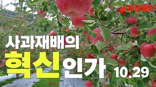 [사과재배] 사과농사의 혁신인가/ 지구온난화 대안을 제시한다/김창호 친환경기술지원단장 현장 특강/3다이 80…
