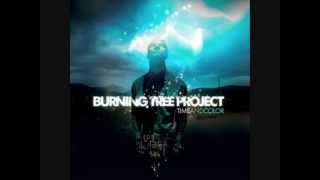 Burning Tree Project - Tomorrow