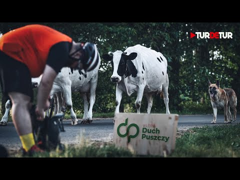 Ultra Duch Puszczy 2024 - impresja filmowa