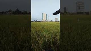 Download lagu Nikmat Mana Lagi Yang Kau Dustakan #egzonibrahimi #surahannas #shorts #youtubeshorts #allahuakbar mp3