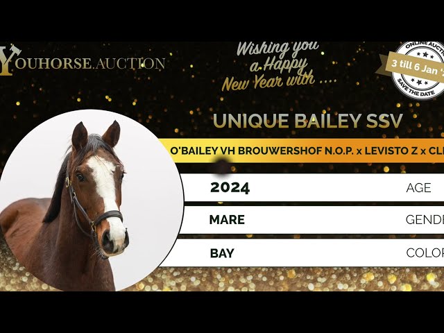 Unique Bailey SSV