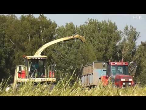 ZD Čechtice v senáži |Teaser| (720p)HD