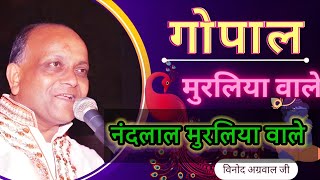 Download lagu नंदलाल मुरलिया वाले गोपाल मुरलिया वाले ||nandlal murliya vale || #radhe #shyam #krishna #mathura mp3