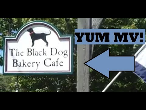 download lagu mp3 mp4 Marthas Vineyard Bakery, download lagu Marthas Vineyard Bakery gratis, unduh video klip Marthas Vineyard Bakery