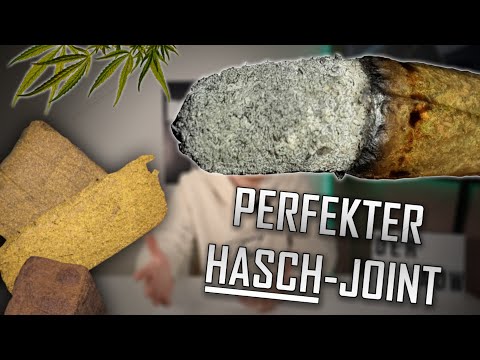 Hasch Joint bauen | Darauf kommt's an!
