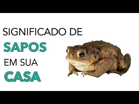 Significado De Sapos Em Casa