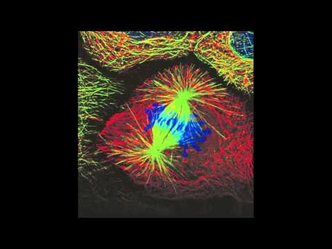 8.2 The Unity of Life [Astronomy: State of the Art]