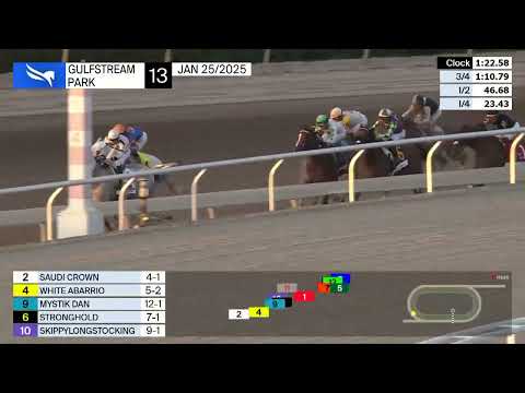 Gulfstream Park Carrera 13 (Pegasus World Cup Invitational S. G1)  - 25 de Enero 2025