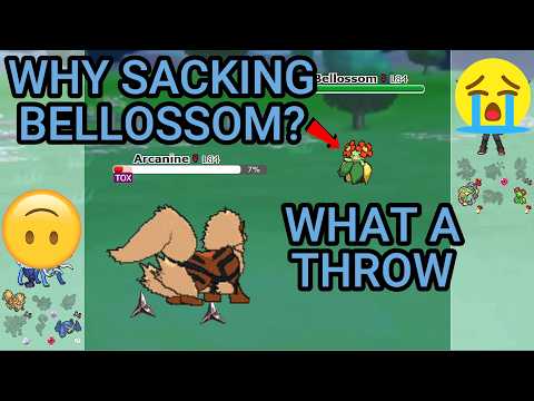 Why Did They Sack Bellossom? (Pokemon Showdown Random Battles Blitz) (High Ladder)