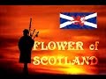 ⚡️FLOWER OF SCOTLAND ⚡️ROYAL SCOTS DRAGOON GUARDS⚡️