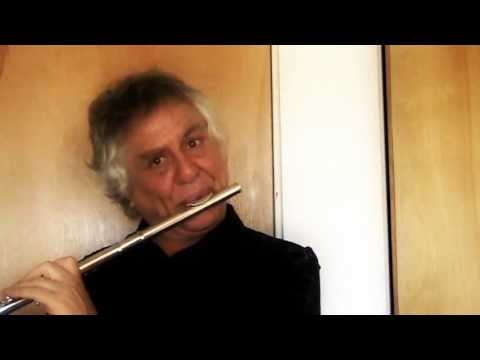 Yamaha YFL-584 Flute