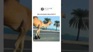 🐪 Camel Unlocked a New Skate Skill 😂😎 | When Nature Meets Skate Park! 🛹🔥