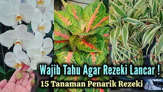 Download lagu 15 Tanaman Penarik Rezeki dan Pembawa Keberuntungan ke Rumah mp3