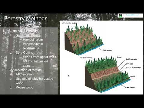 Apes 4d Notes Forestry Practices And Rangelands