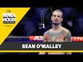 Sean O'Malley: Paddy Pimblett Knows I'm 'Cash Cow' of UFC  - MMA Fighting